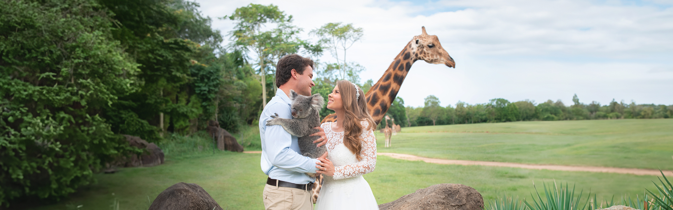 Weddings and Functions