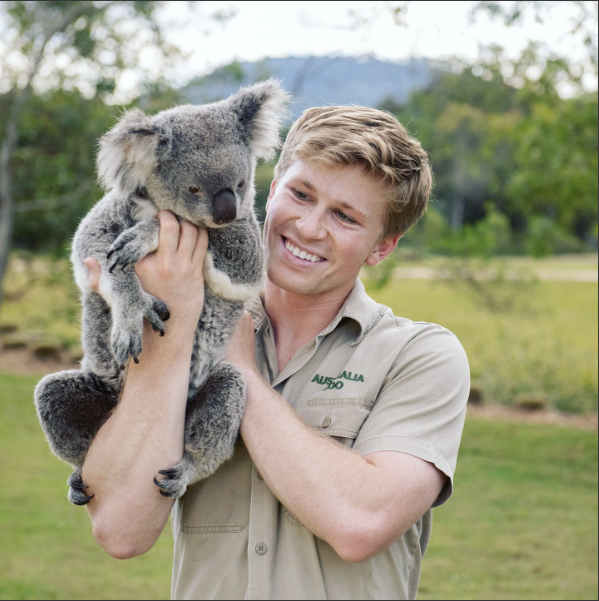Lola the koala in her exhibit at Australia Zoo
